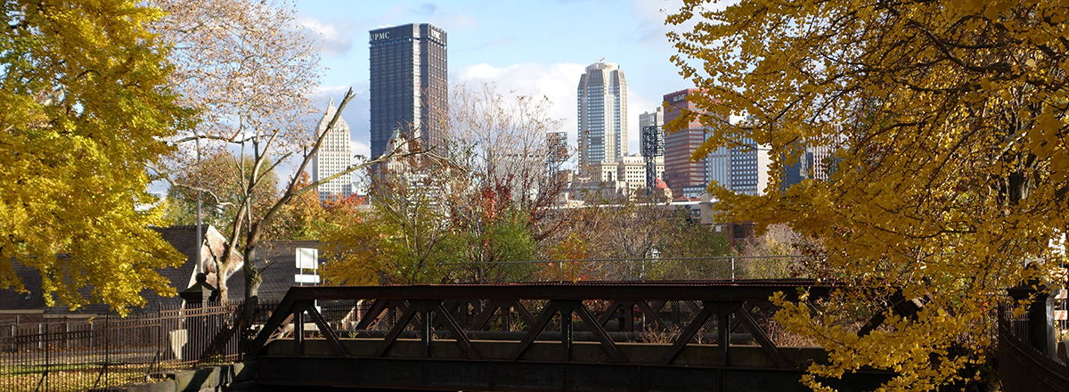 BridgeDowntown_Nick