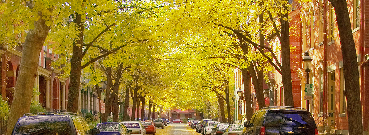 Fall