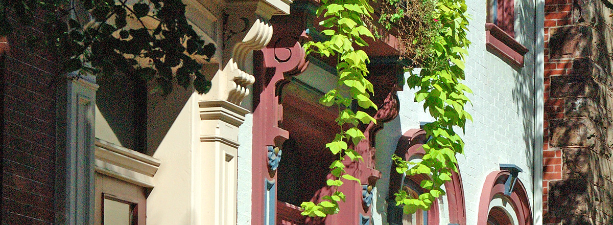 GStein facade259 pedit