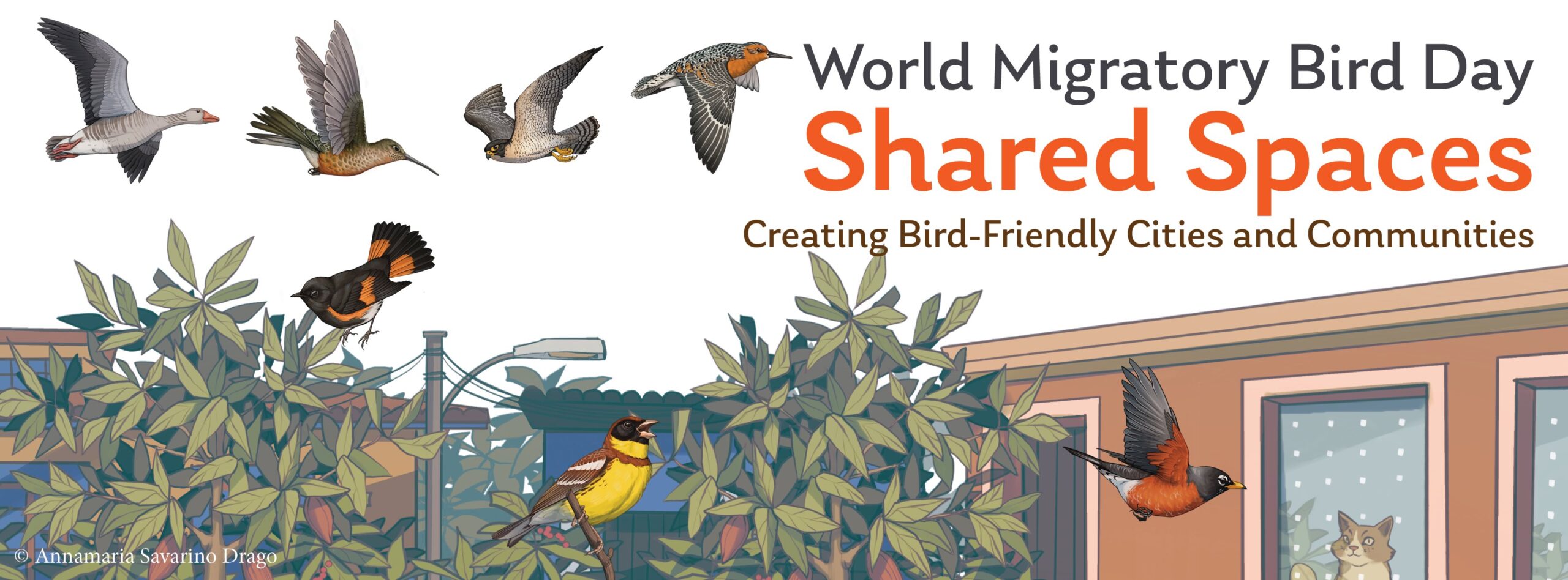 WMBD_Banner_Resized World Migratory Bird Day Banner