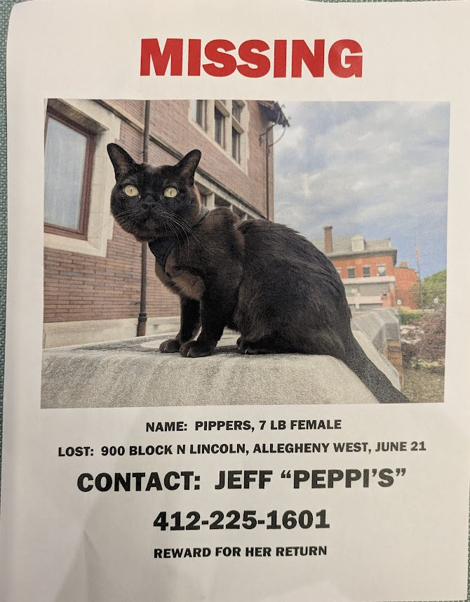 Missing Cat Poster