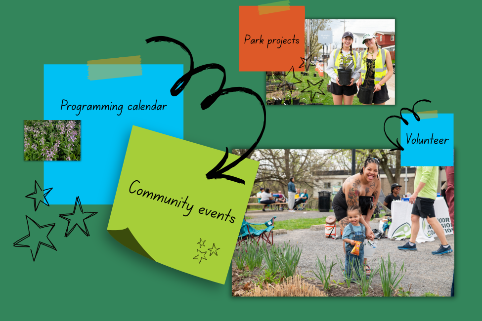 image Website Card Sorting Activity Graphic